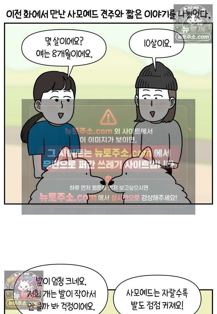 극한견주 시즌2 65화 식탐견이 된 솜이 2