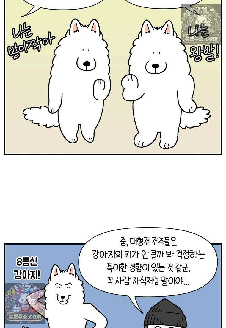 극한견주 시즌2 65화 식탐견이 된 솜이 3