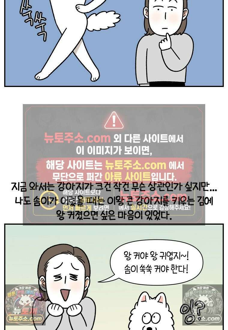 극한견주 시즌2 65화 식탐견이 된 솜이 4