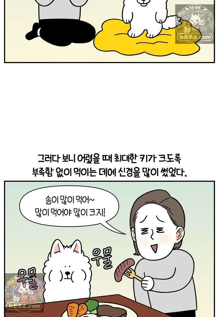 극한견주 시즌2 65화 식탐견이 된 솜이 5