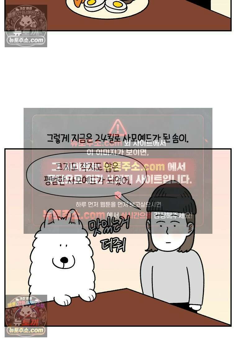 극한견주 시즌2 65화 식탐견이 된 솜이 6