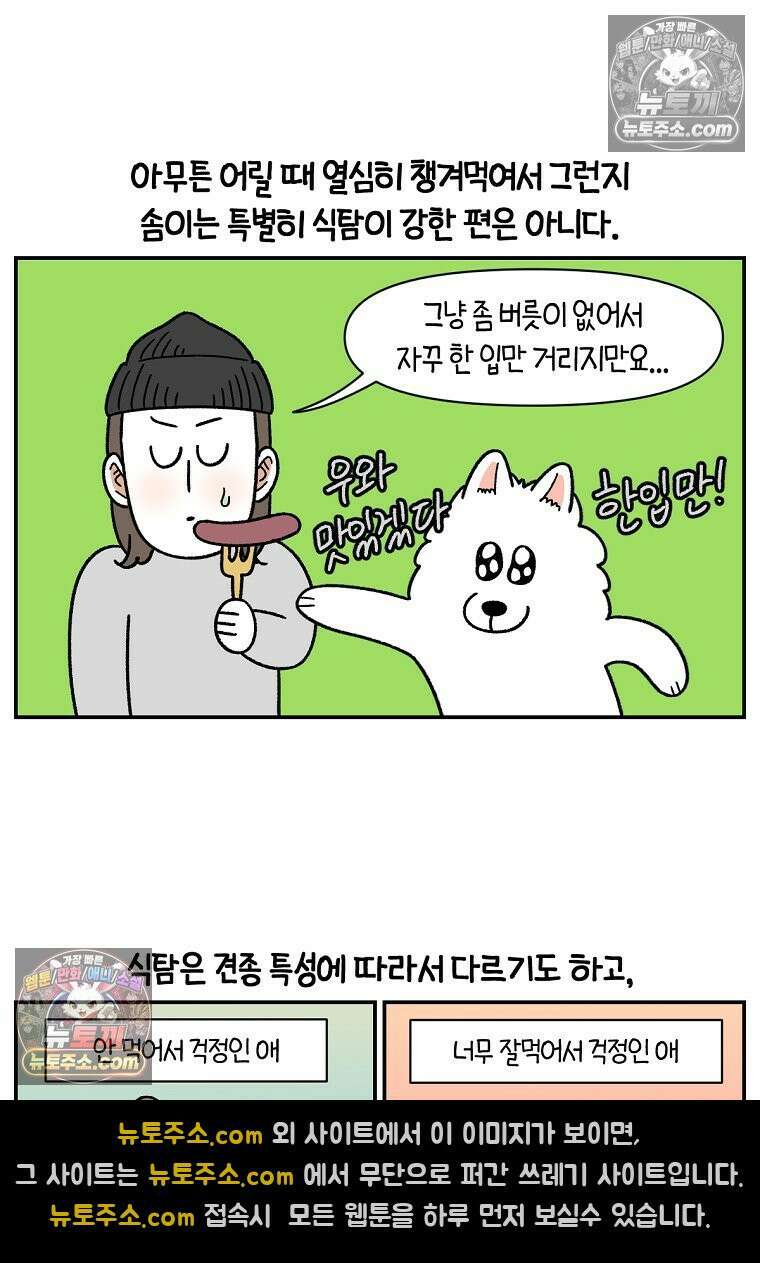 극한견주 시즌2 65화 식탐견이 된 솜이 8