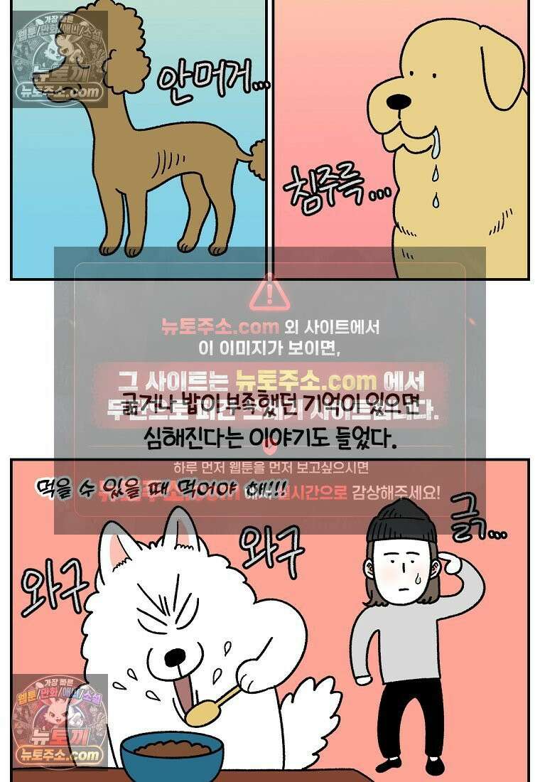 극한견주 시즌2 65화 식탐견이 된 솜이 9