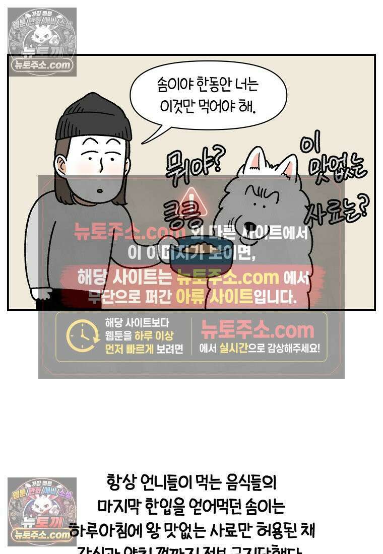 극한견주 시즌2 65화 식탐견이 된 솜이 11