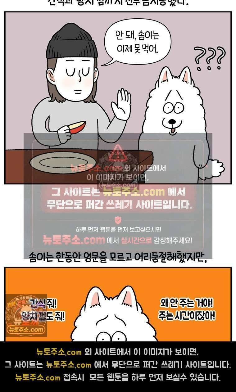 극한견주 시즌2 65화 식탐견이 된 솜이 12