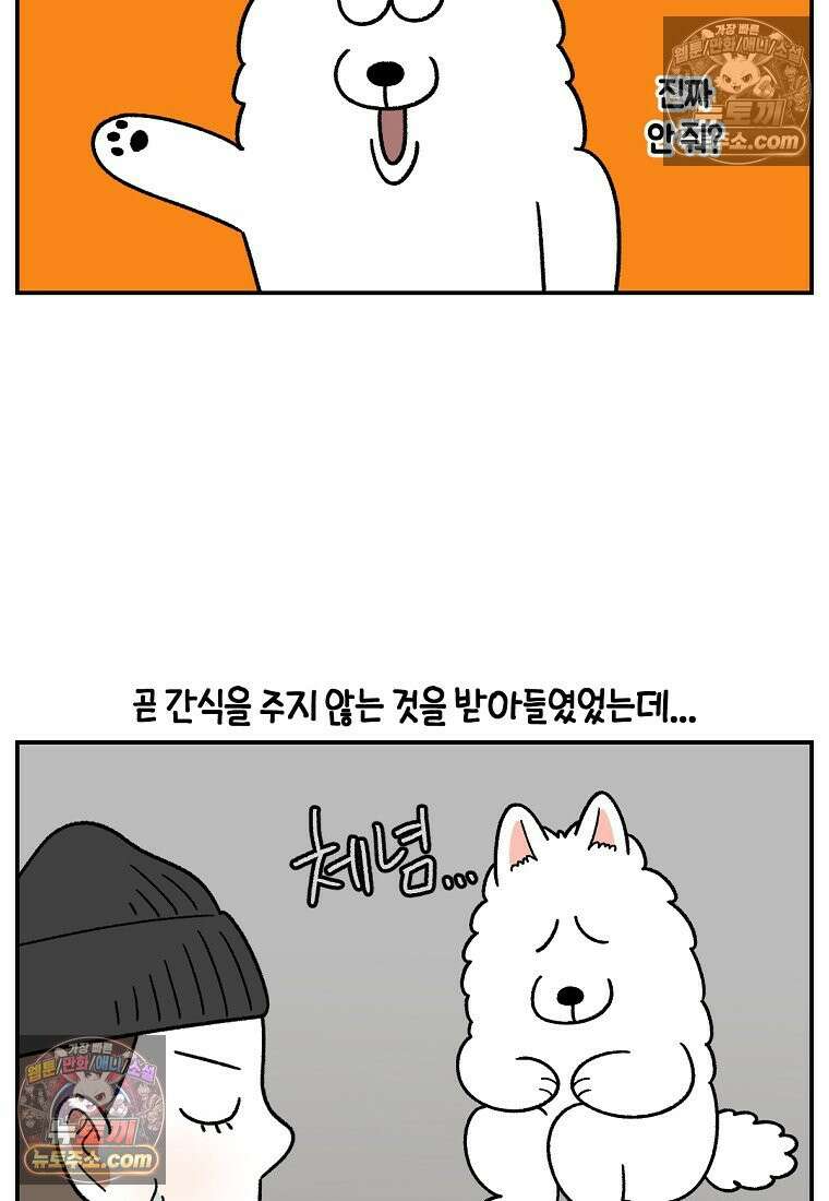 극한견주 시즌2 65화 식탐견이 된 솜이 13