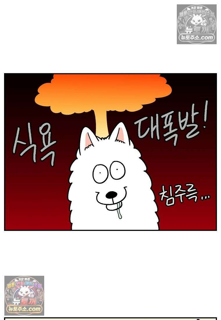 극한견주 시즌2 65화 식탐견이 된 솜이 15