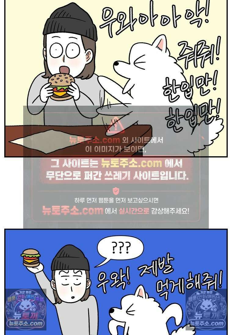 극한견주 시즌2 65화 식탐견이 된 솜이 16