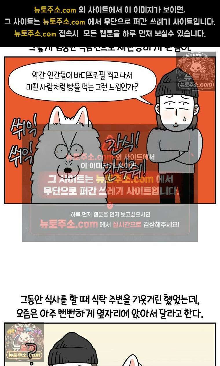 극한견주 시즌2 65화 식탐견이 된 솜이 19