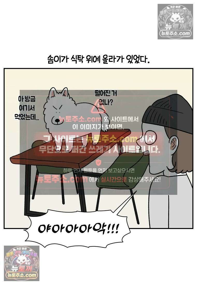 극한견주 시즌2 65화 식탐견이 된 솜이 22
