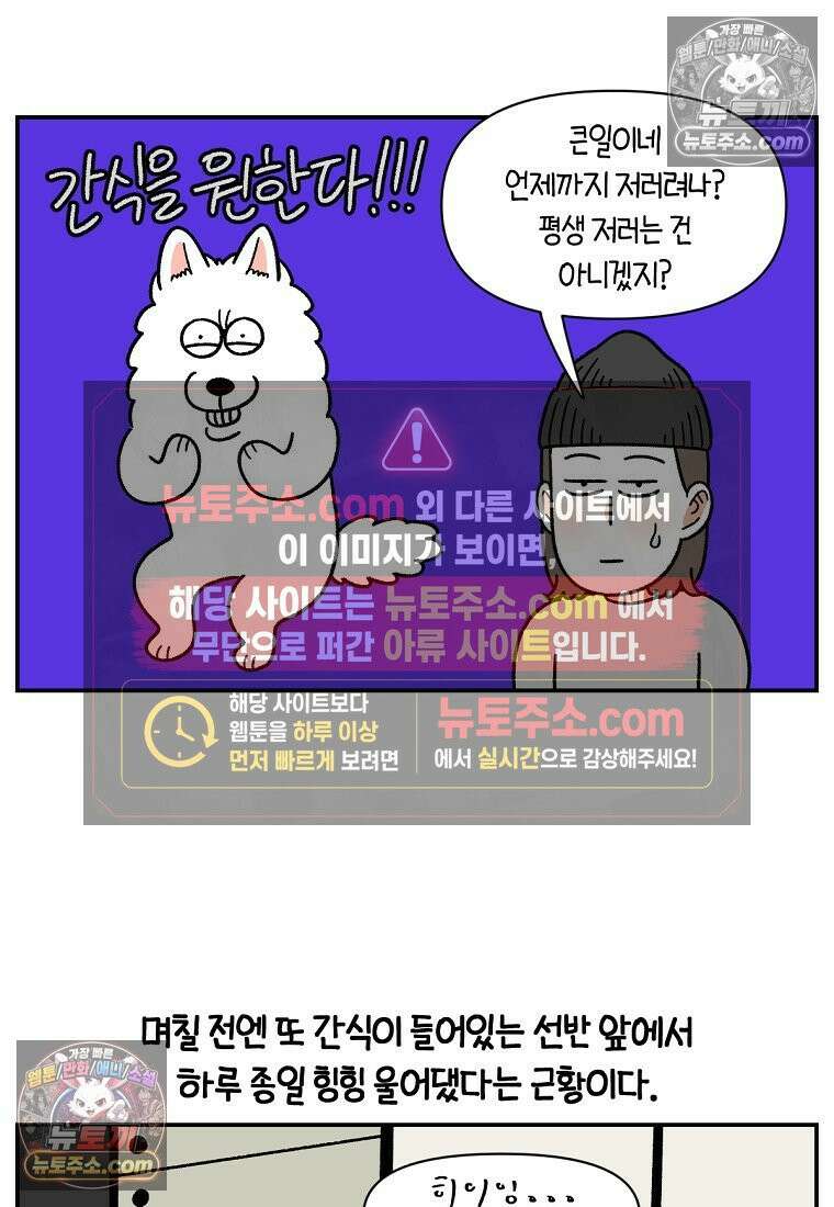 극한견주 시즌2 65화 식탐견이 된 솜이 24