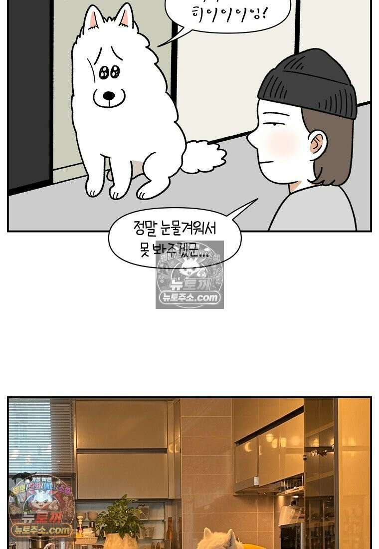 극한견주 시즌2 65화 식탐견이 된 솜이 25