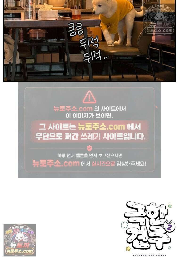 극한견주 시즌2 65화 식탐견이 된 솜이 26