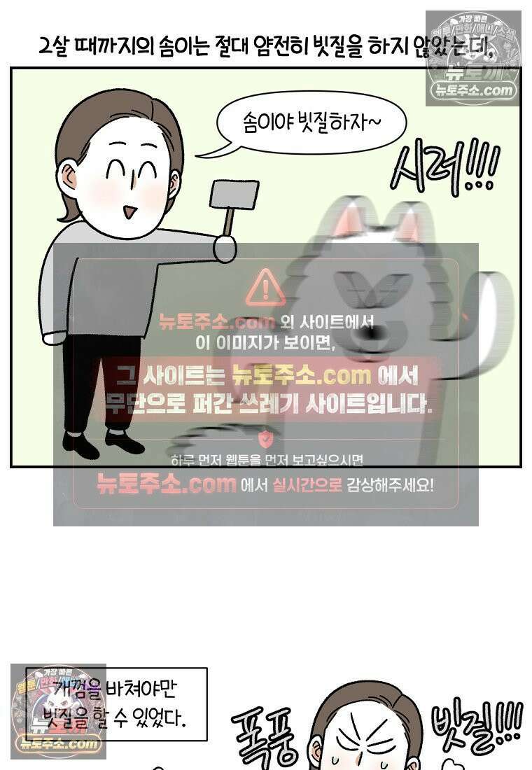 극한견주 시즌2 70화 빗질하기 2