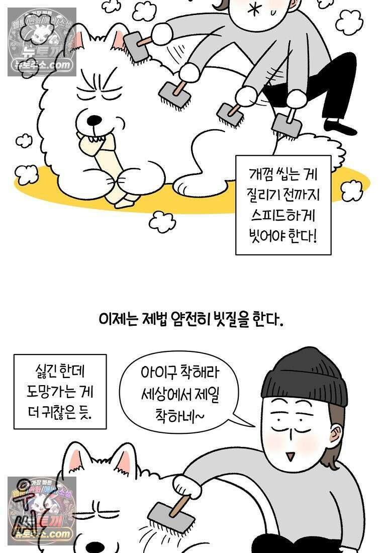 극한견주 시즌2 70화 빗질하기 3