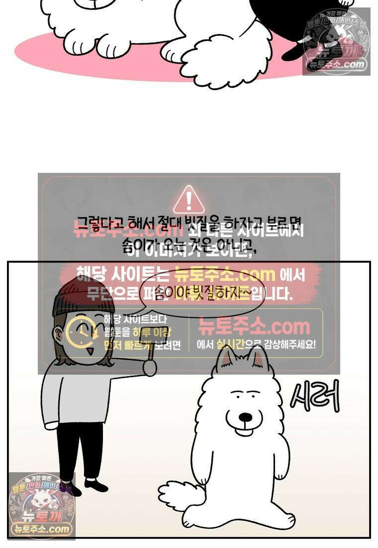 극한견주 시즌2 70화 빗질하기 4
