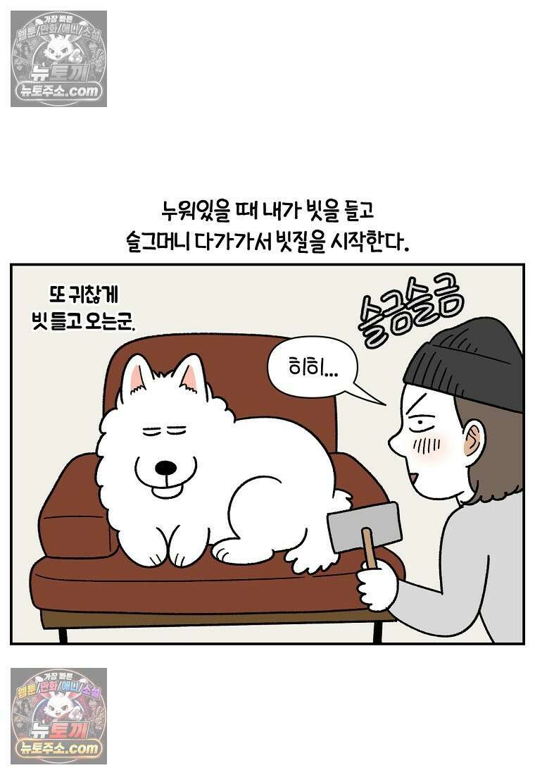 극한견주 시즌2 70화 빗질하기 5