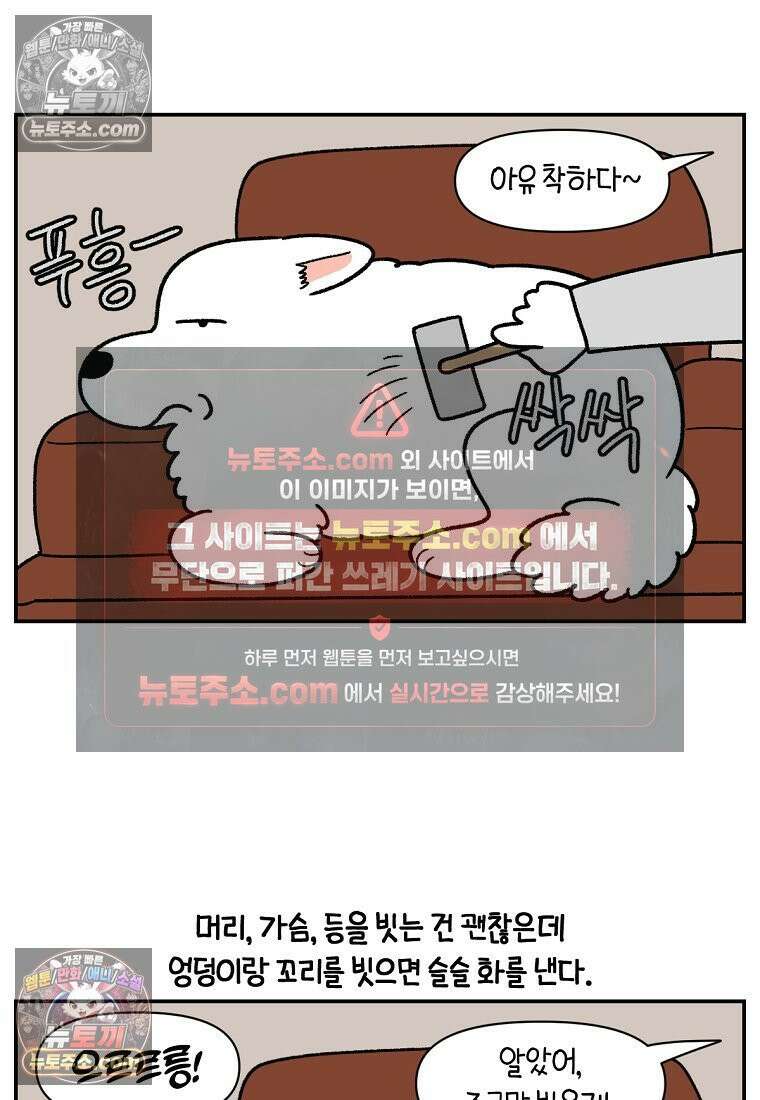 극한견주 시즌2 70화 빗질하기 6