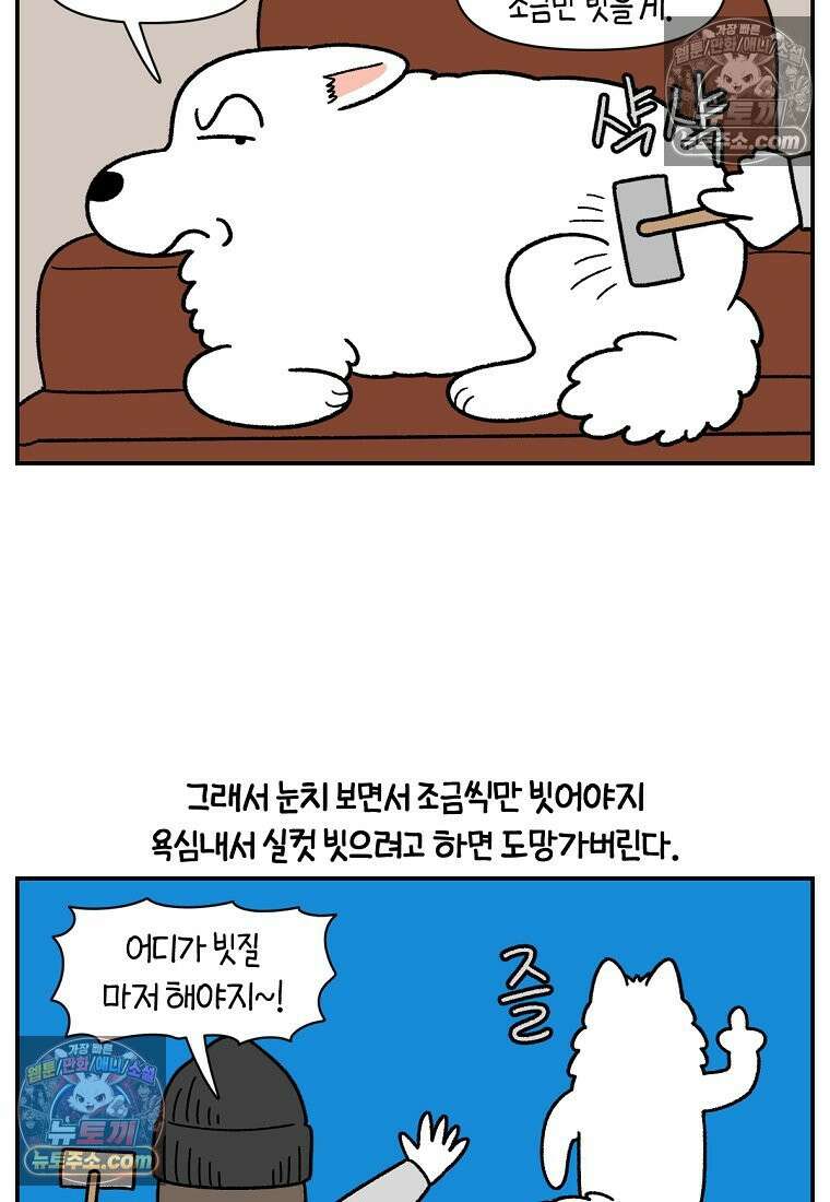 극한견주 시즌2 70화 빗질하기 7