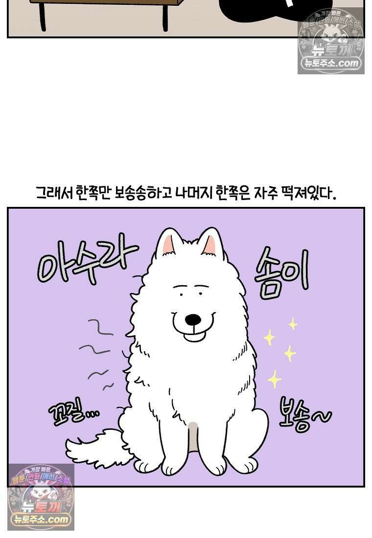 극한견주 시즌2 70화 빗질하기 9