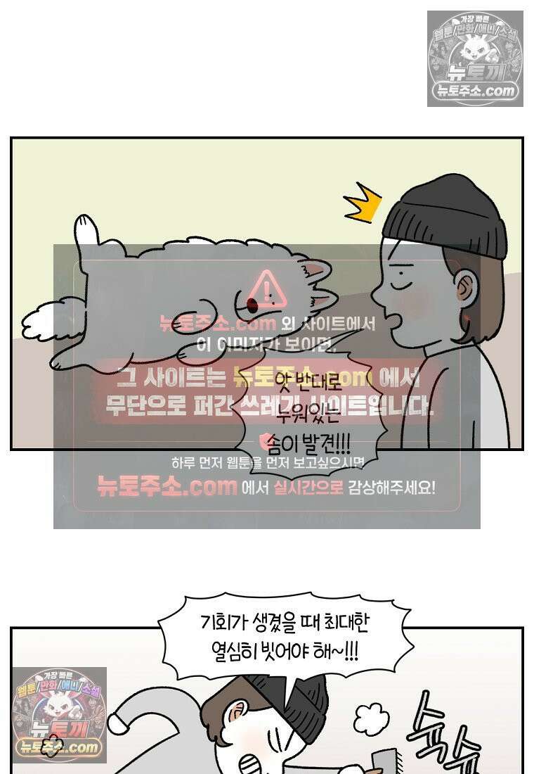 극한견주 시즌2 70화 빗질하기 10