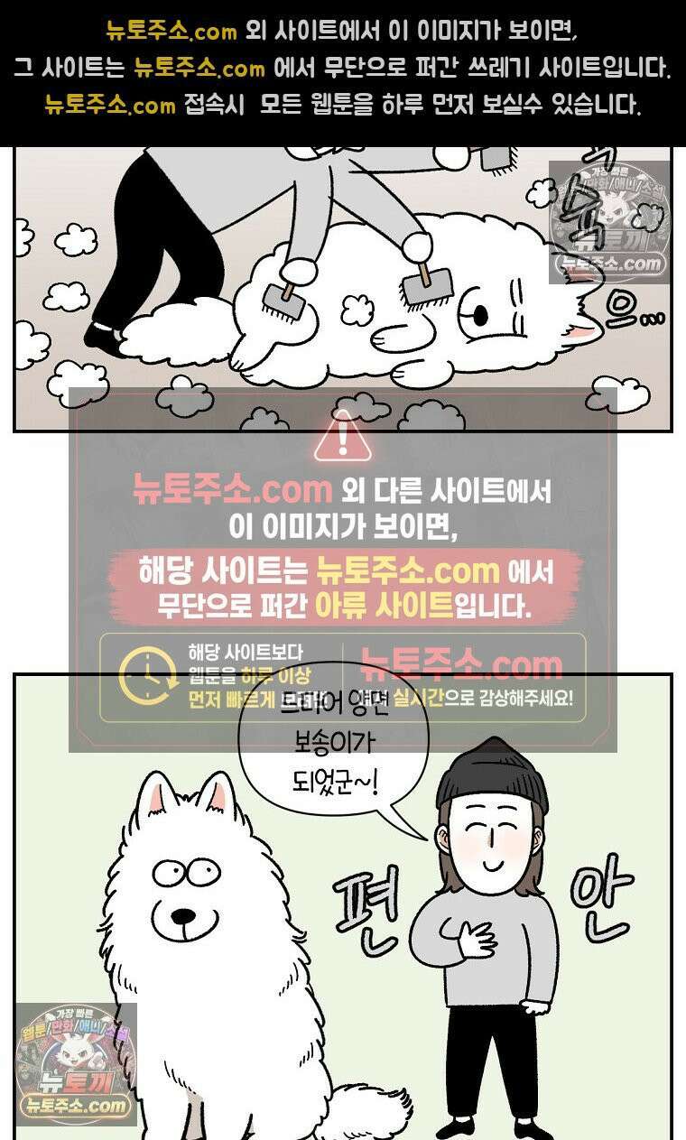 극한견주 시즌2 70화 빗질하기 11