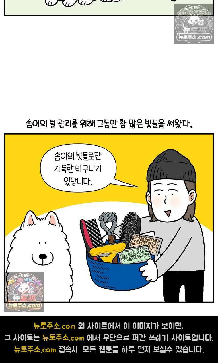 극한견주 시즌2 70화 빗질하기 12