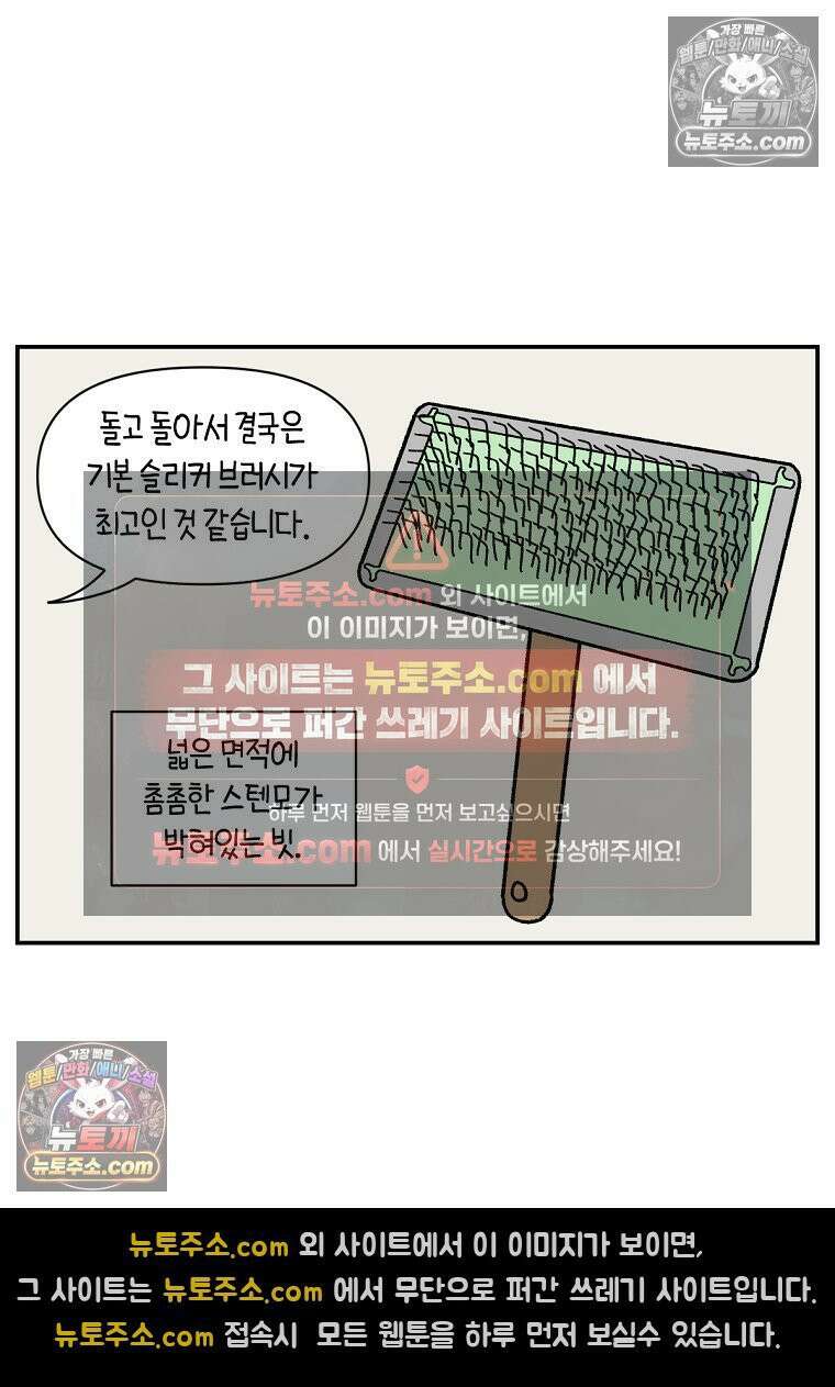 극한견주 시즌2 70화 빗질하기 13