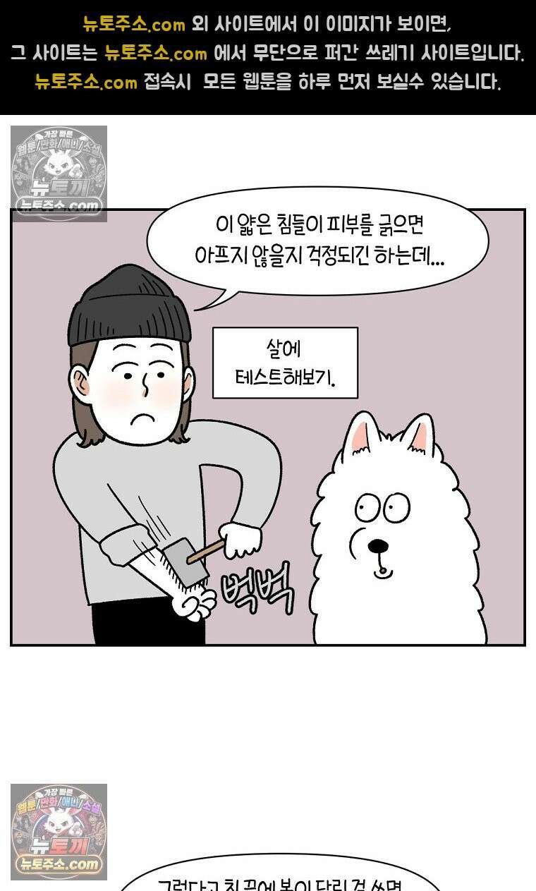 극한견주 시즌2 70화 빗질하기 14