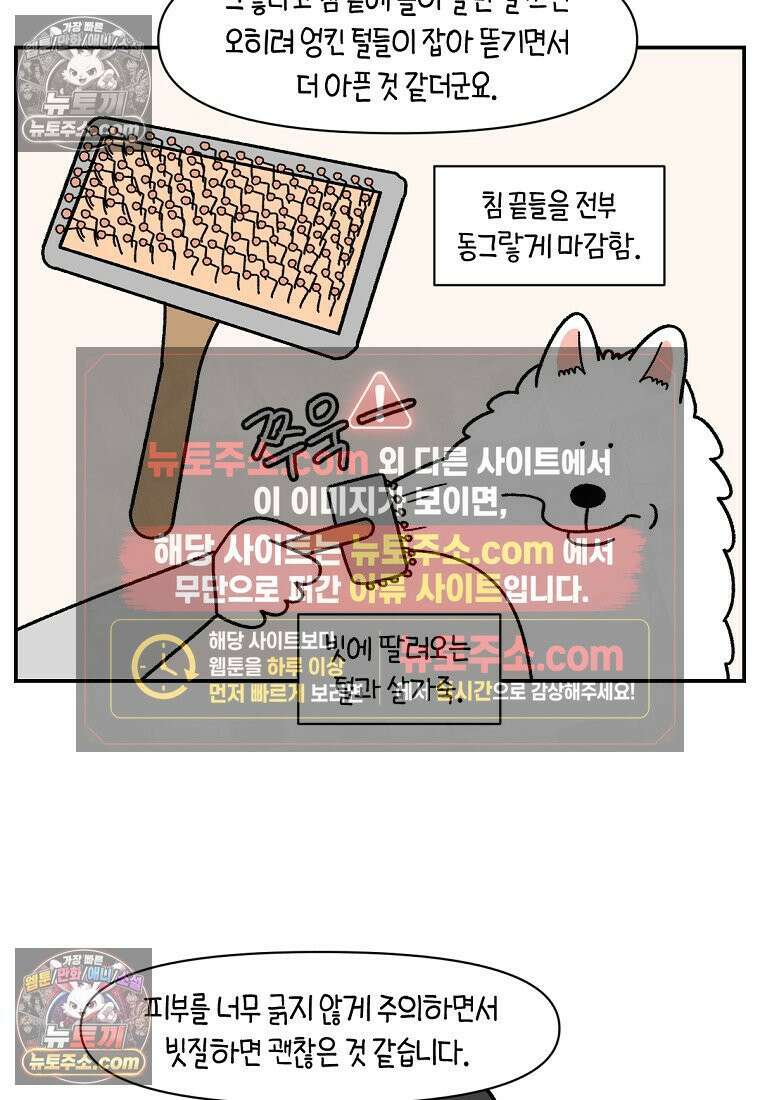 극한견주 시즌2 70화 빗질하기 15