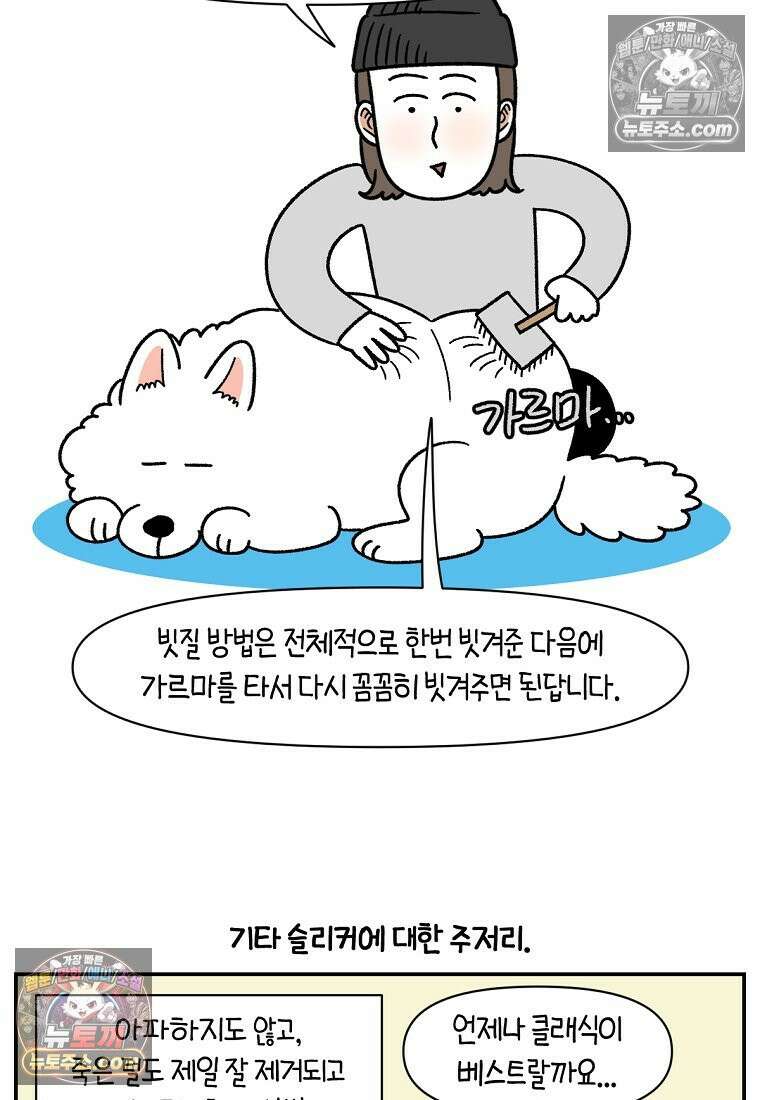 극한견주 시즌2 70화 빗질하기 16