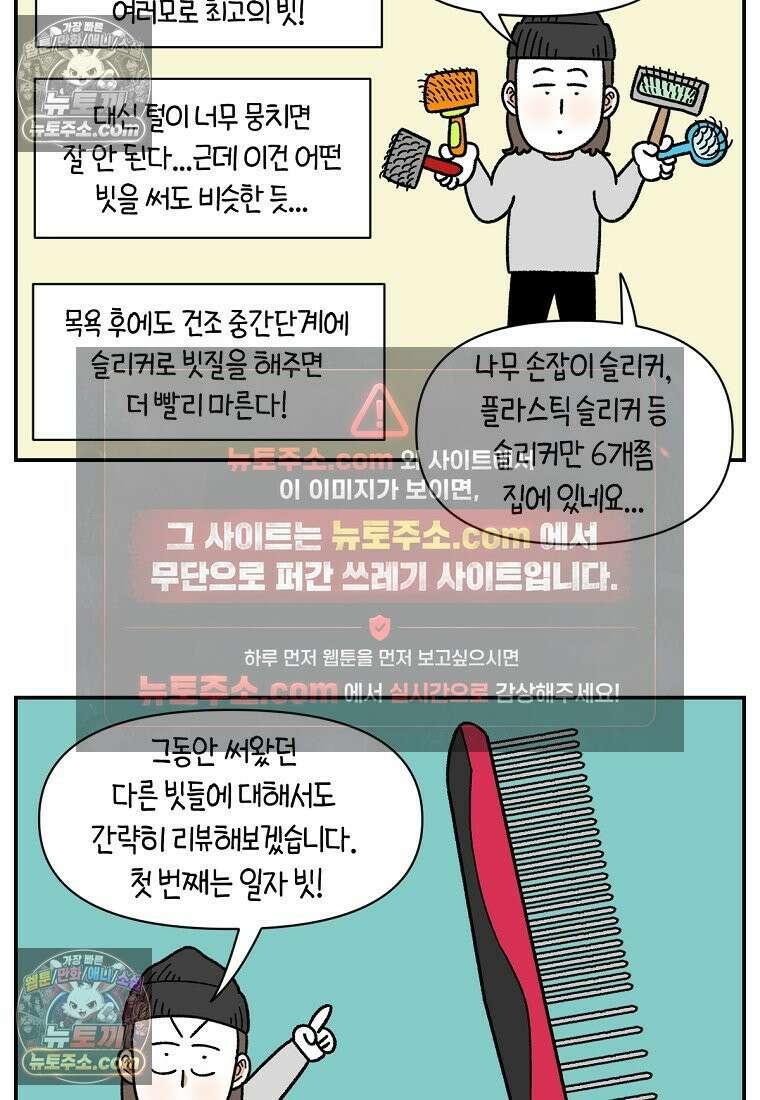 극한견주 시즌2 70화 빗질하기 17