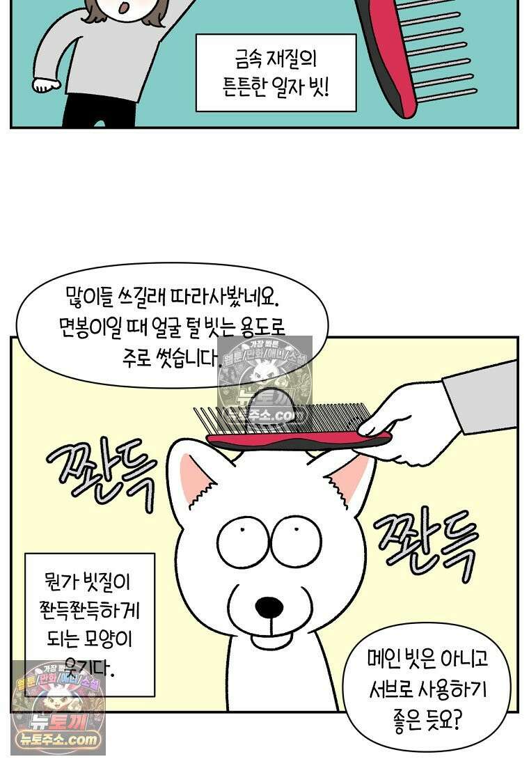 극한견주 시즌2 70화 빗질하기 18