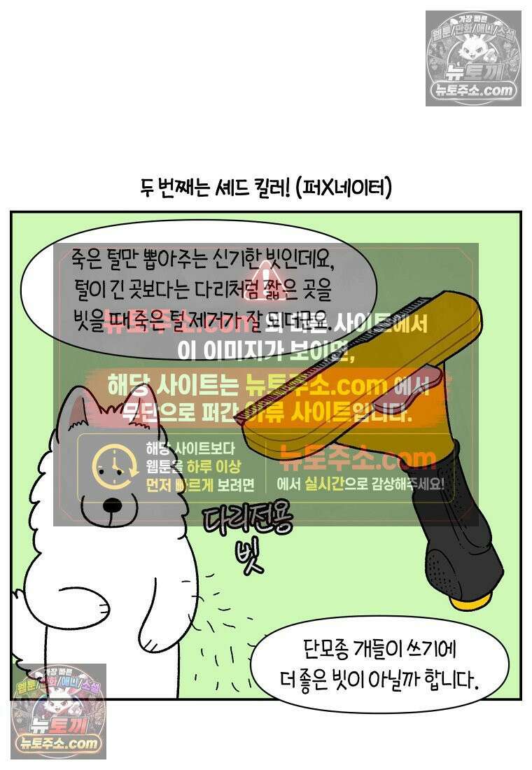 극한견주 시즌2 70화 빗질하기 19
