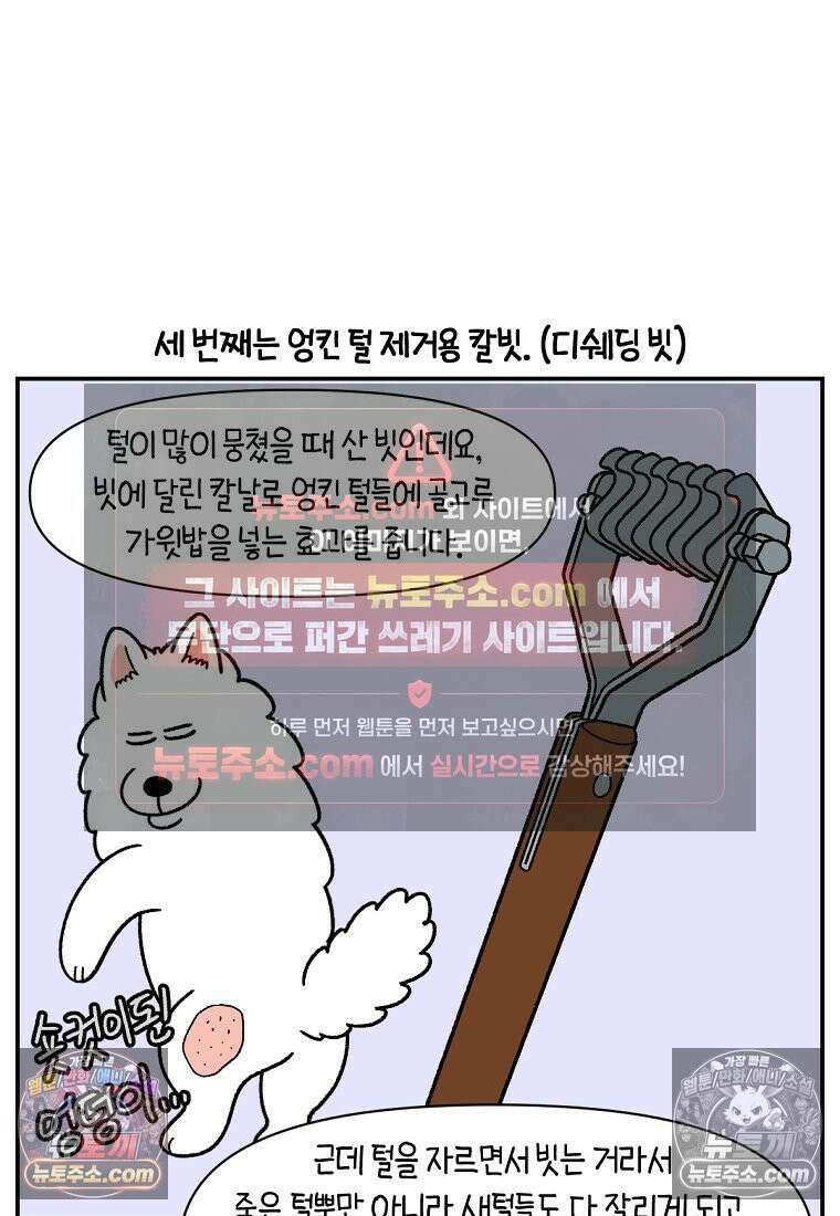 극한견주 시즌2 70화 빗질하기 20