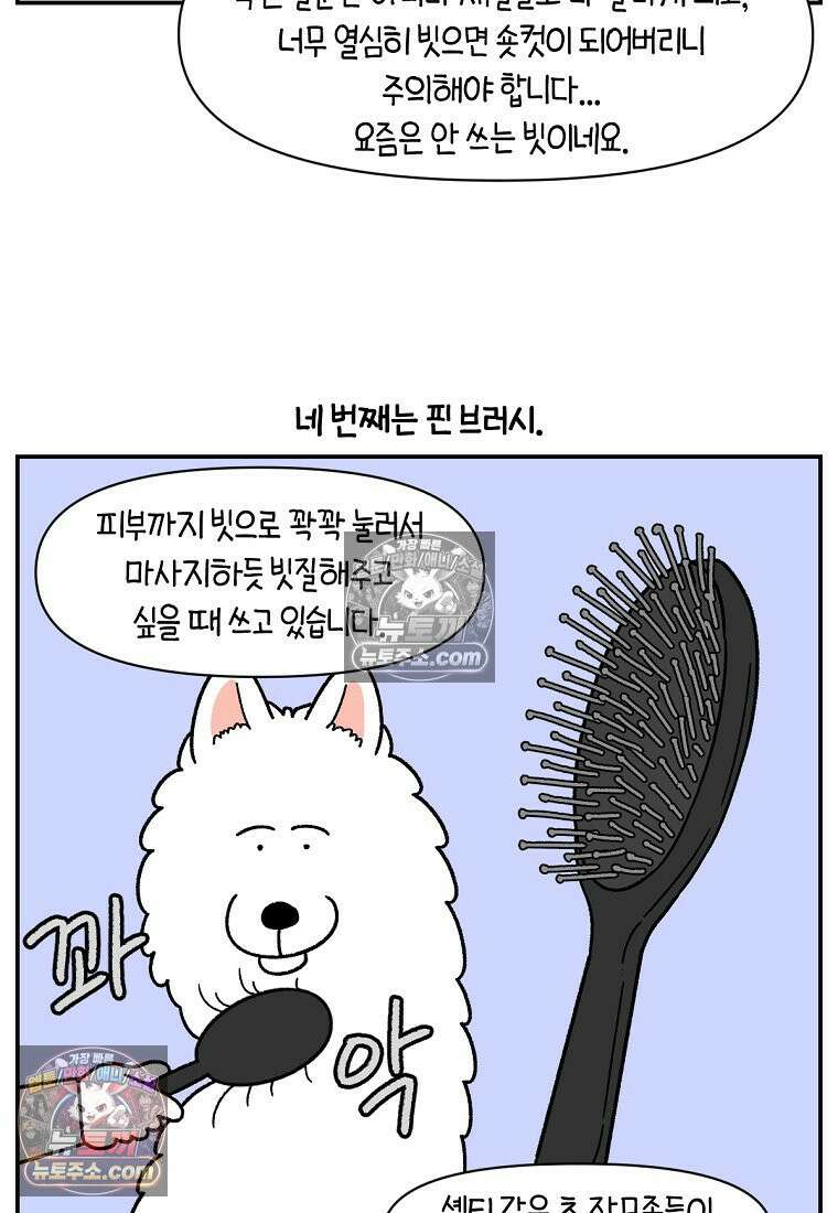 극한견주 시즌2 70화 빗질하기 21