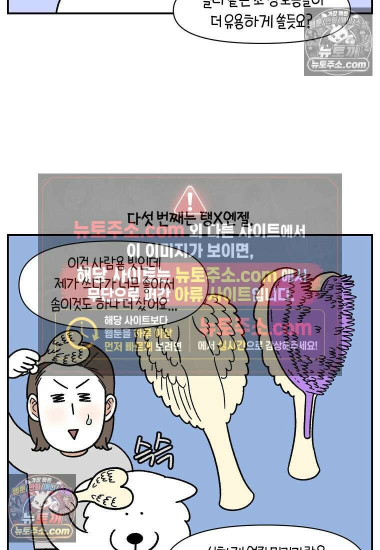 극한견주 시즌2 70화 빗질하기 22