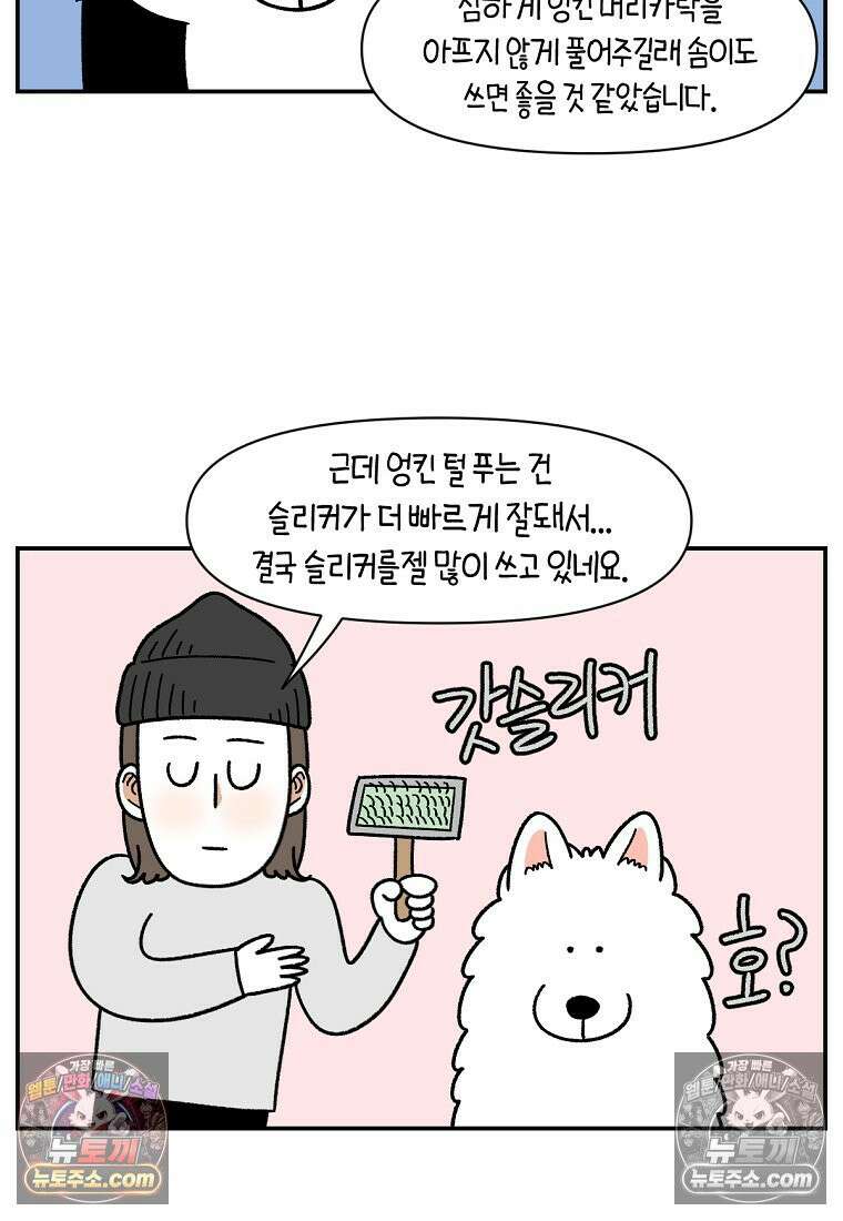 극한견주 시즌2 70화 빗질하기 23