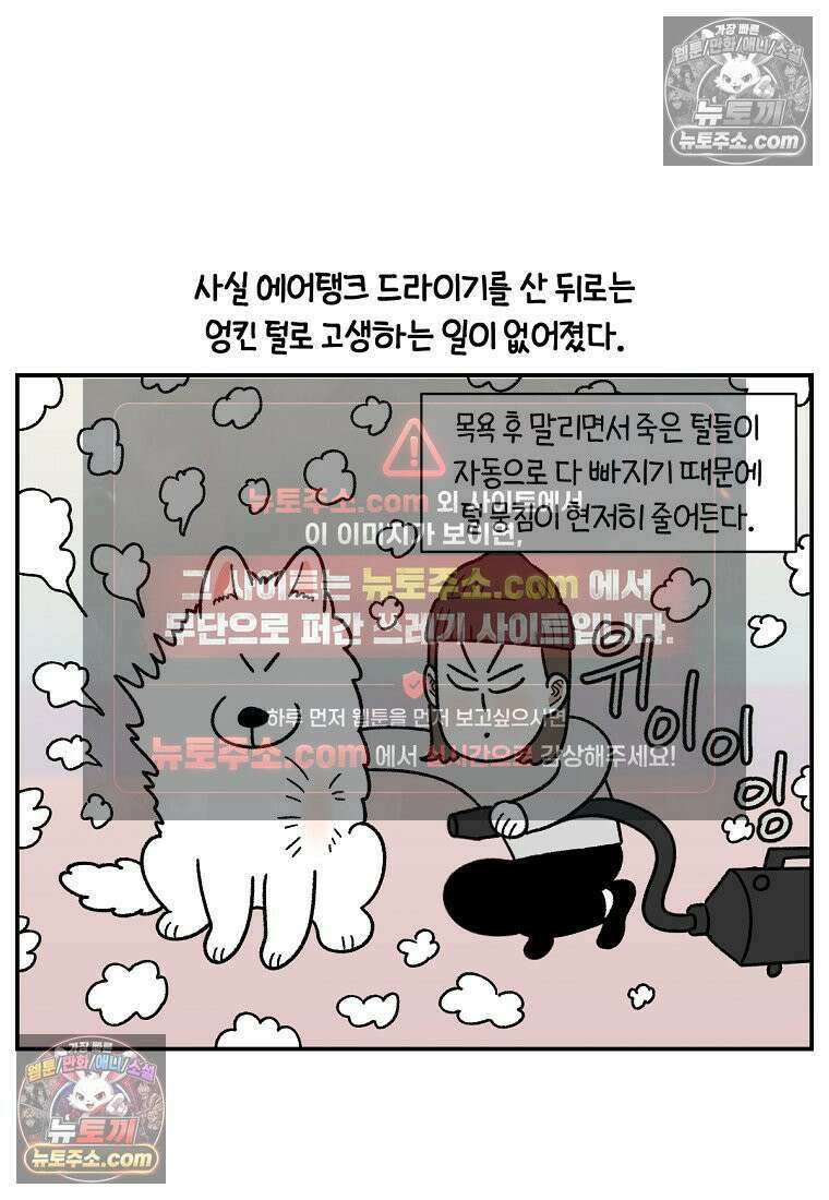극한견주 시즌2 70화 빗질하기 24