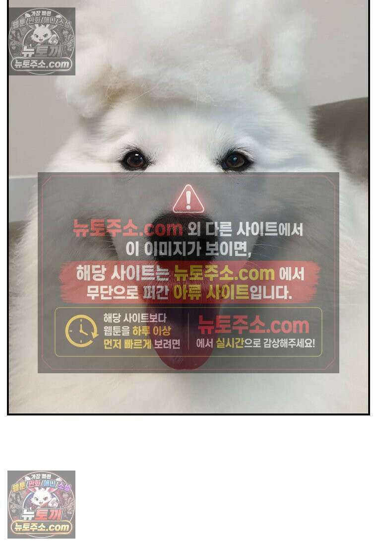 극한견주 시즌2 70화 빗질하기 26