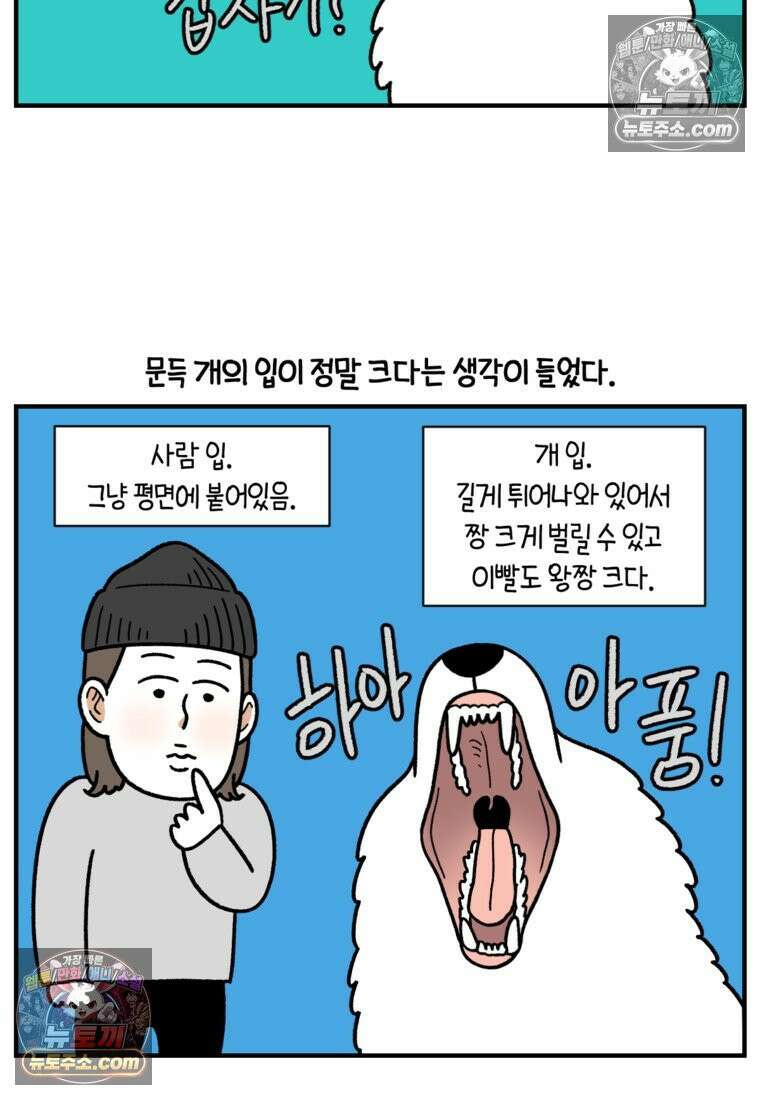 극한견주 시즌2 75화 대왕주둥이 3