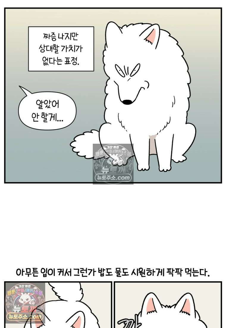 극한견주 시즌2 75화 대왕주둥이 5