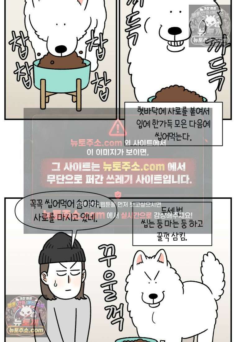 극한견주 시즌2 75화 대왕주둥이 6