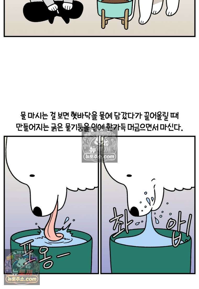 극한견주 시즌2 75화 대왕주둥이 7