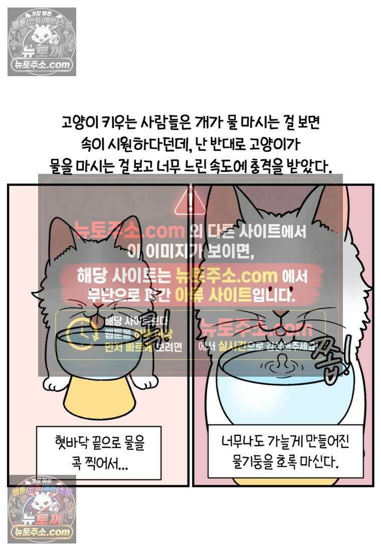 극한견주 시즌2 75화 대왕주둥이 8
