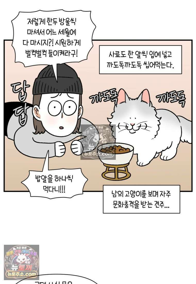 극한견주 시즌2 75화 대왕주둥이 9