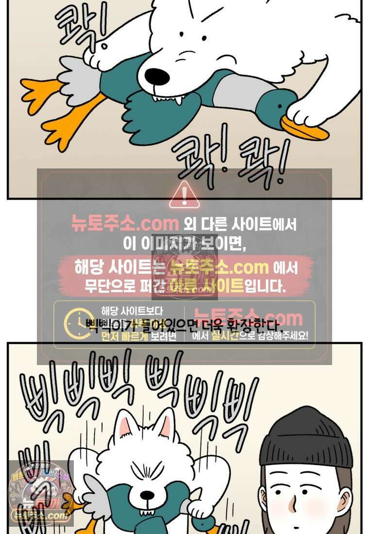 극한견주 시즌2 75화 대왕주둥이 11