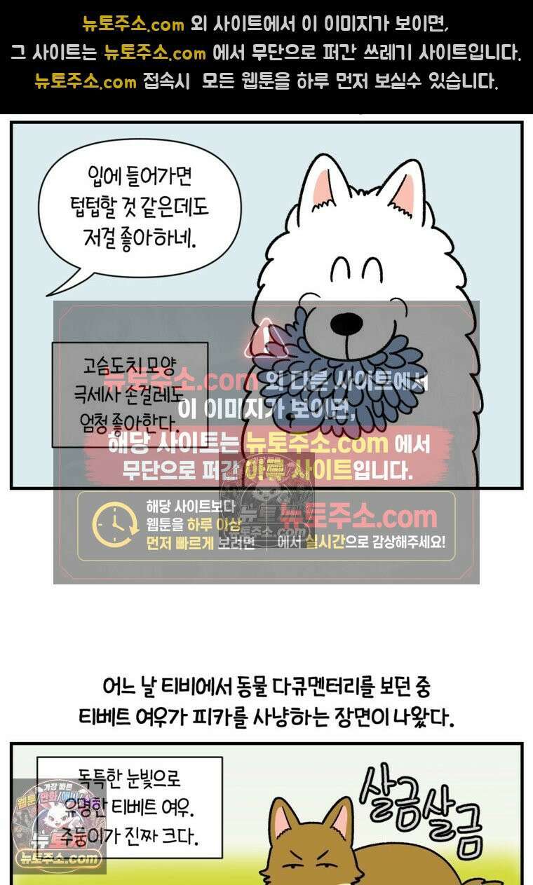 극한견주 시즌2 75화 대왕주둥이 15