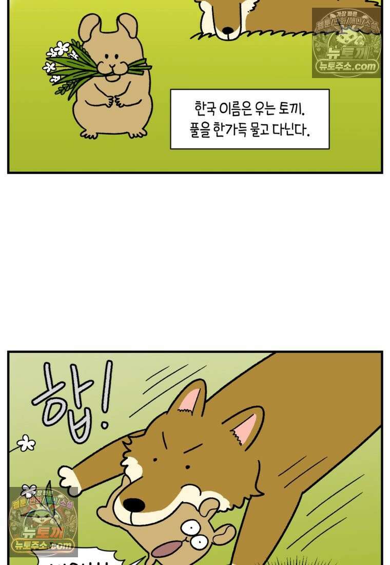 극한견주 시즌2 75화 대왕주둥이 16