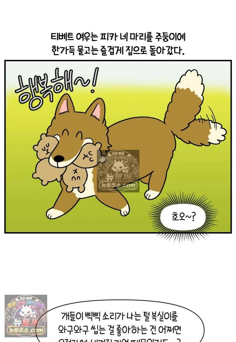 극한견주 시즌2 75화 대왕주둥이 18